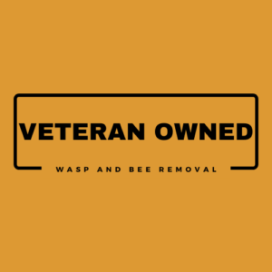 wasp nest removal Sugar Land, TX